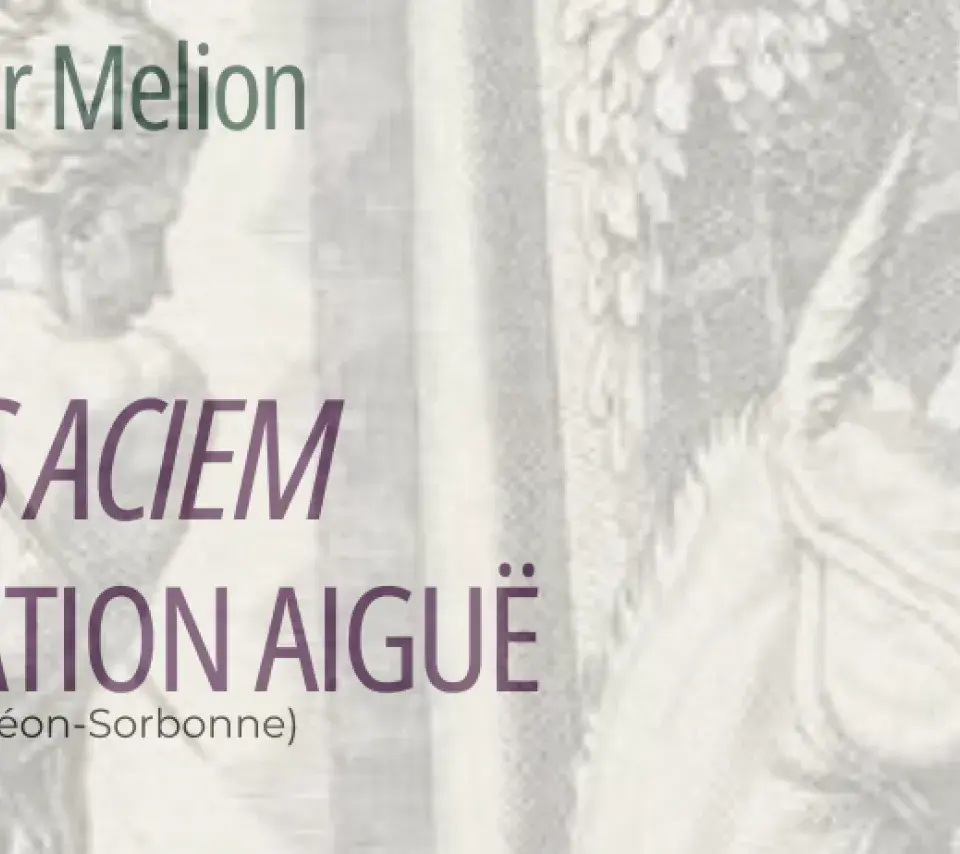 bandeau_evenement_Ad contemplationis Aciem. Vers une contemplation aiguë. Colloque international en l'honneur de Walter Melion.