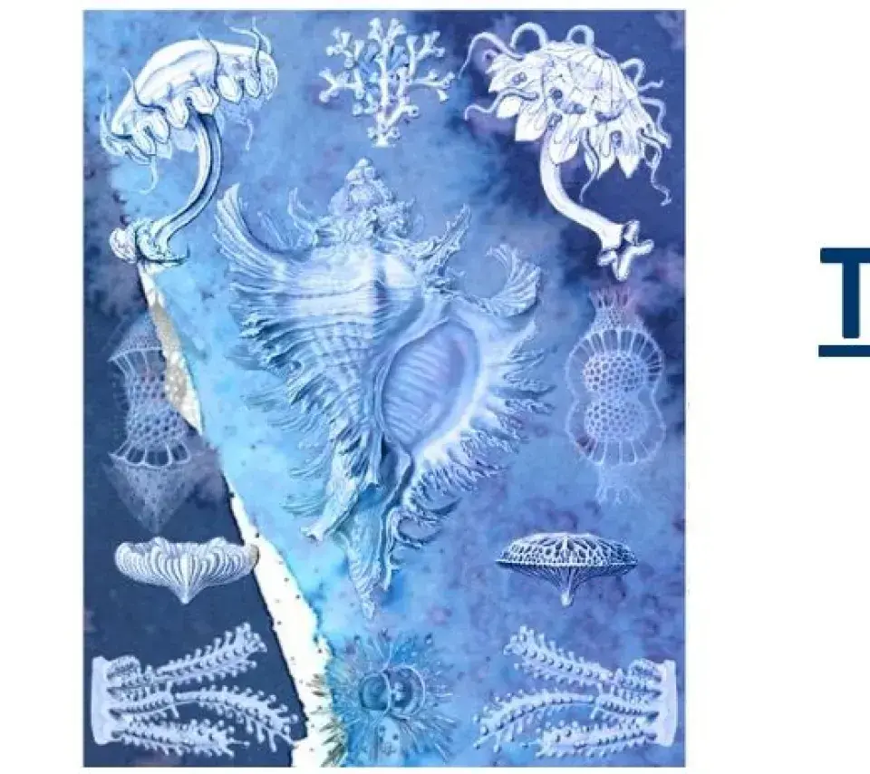 Table ronde "L’océan : les défis de la prise en compte d’une vie marine invisible"