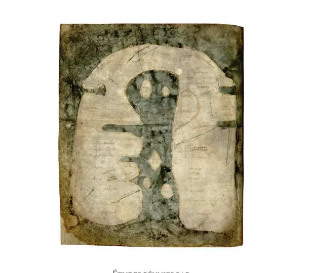 La Mappa mundi d'Albi